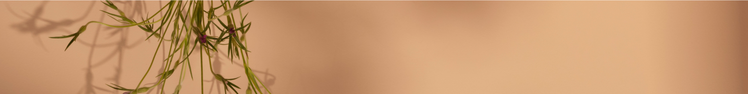 RECYCLING & MAINTENANCE 