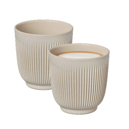 Loop Lungo Cups x 2