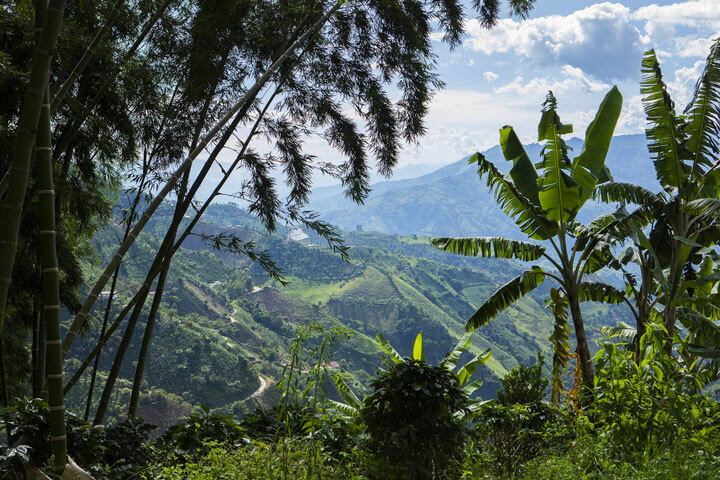 Paysage de Colombie