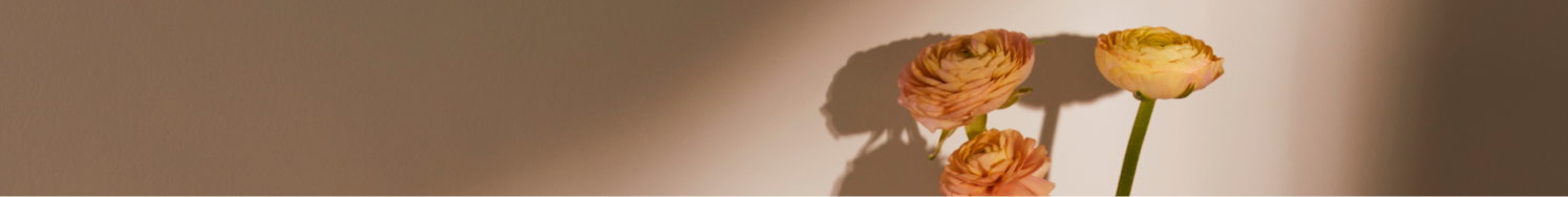 ماستر أوريجينز