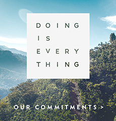 Commitments