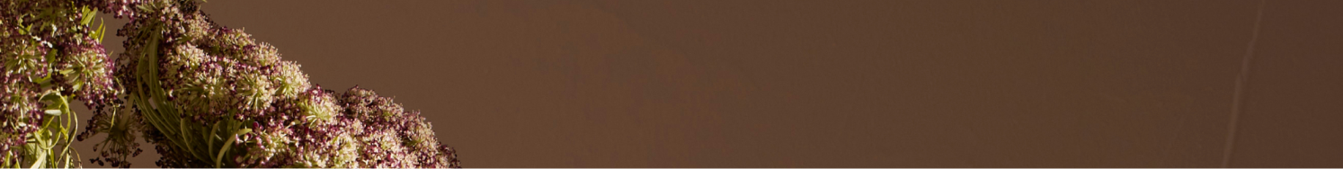 مجموعة ريڨ‍يل