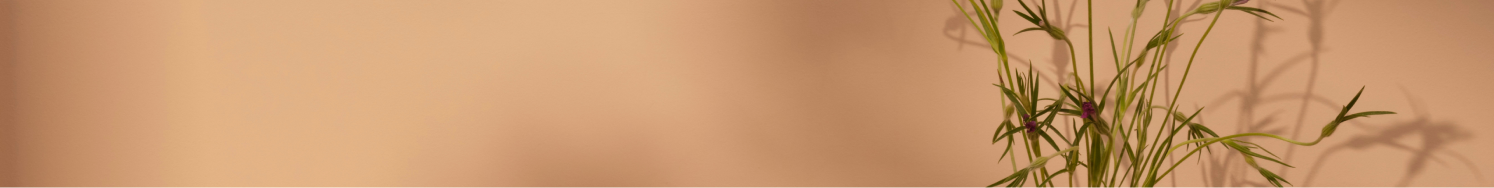 مجموعة أوريجين