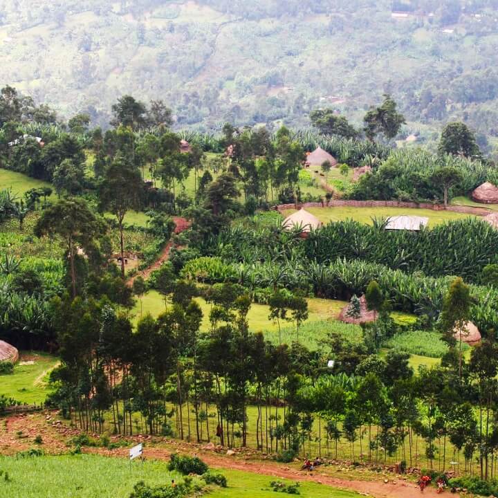 Landscape image