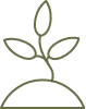 plant icon