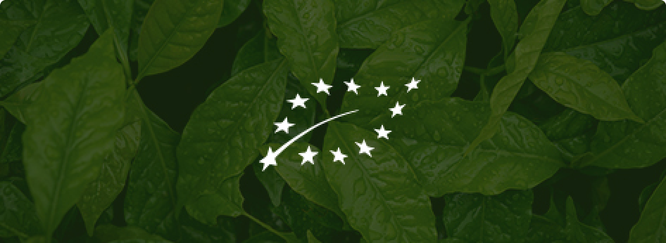 Café Bio & produit de façon plus durable