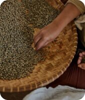 Grains de café