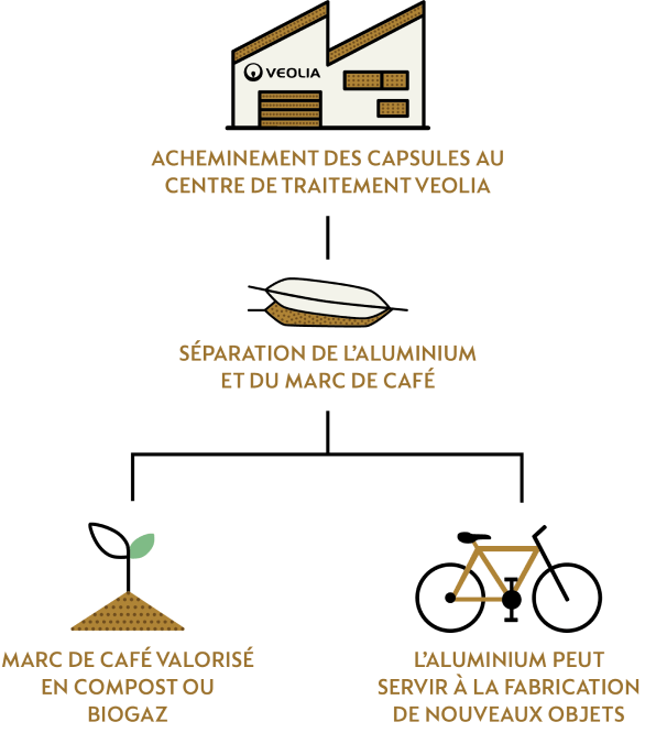 Illustration du cycle de vie d'une capsule recyclée