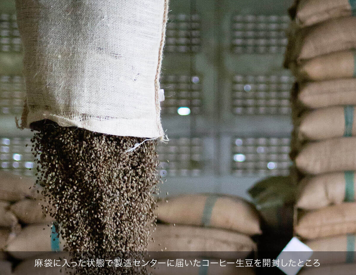 麻袋に入った状態で製造センターに届いたコーヒー生豆を開封したところ