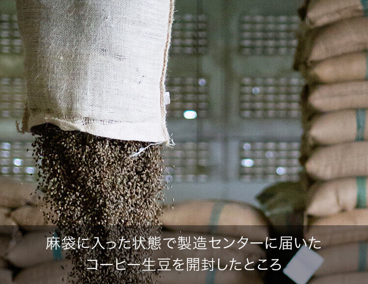 麻袋に入った状態で製造センターに届いたコーヒー生豆を開封したところ