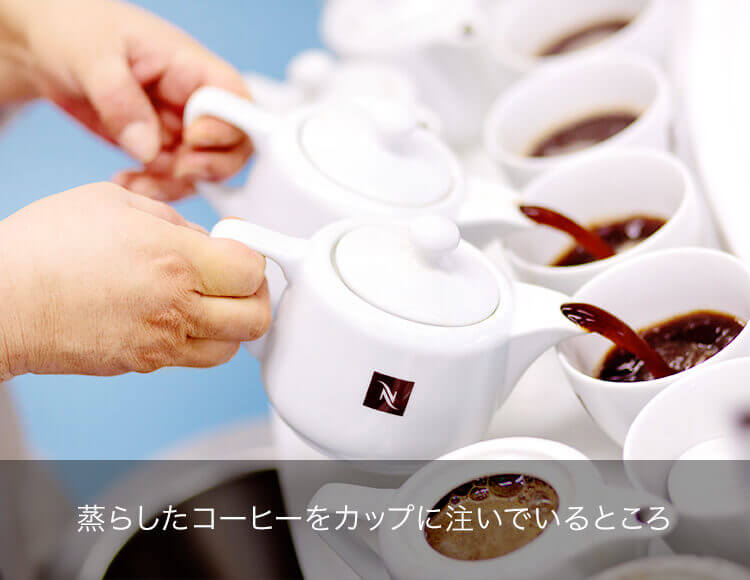 蒸らしたコーヒーをカップに注いでいるところ
